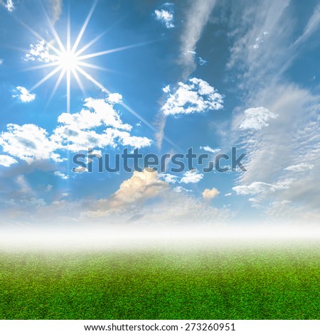 Sky and grass with ray, Summer background