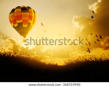 Hot air balloon flying with birds in sunset sky,