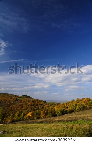 Beautiful autumn landscape in Serbia,fall colors in nature