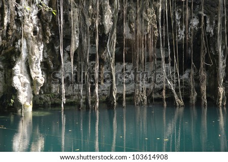   Sinkholes on Cenote In Mexico  These Sinkholes Are One Of The Natural Wonders Of