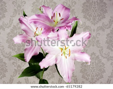 pink flower against a cool wallpaper