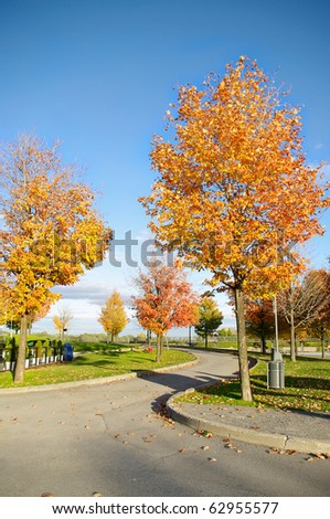 autumn scenery outdoors park