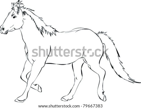 Sketch Of A Running Horse Stock Vector Illustration 79667383 : Shutterstock