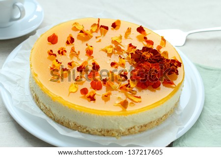 exotic cheese cake with mango and tropical fruits