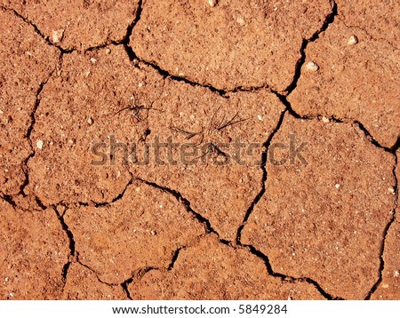 earth crevasses in a drought terrain