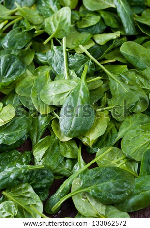 [Obrazek: stock-photo-organic-fresh-spinach-leaves...062572.jpg]