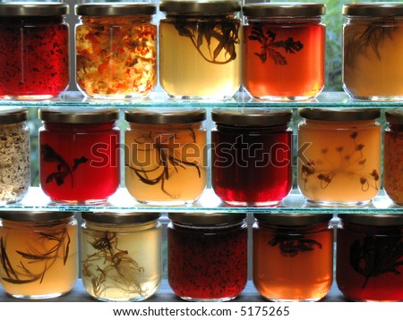 Jars of herbal jelly and jam  on glass shelves in window backlit by sunlight