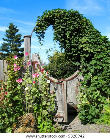 Wooden Garden Gates on Photo   Unusual Circular Wooden Garden Gate With Hollyhock Flowers