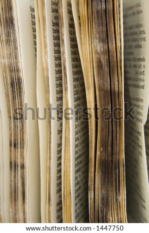 Old Dictionary, pages with words, short DOF shot in RAW with 4x Closeup Filter, this thing is only like 2