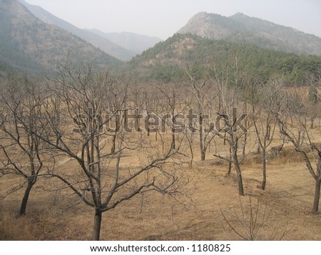 Dry country landscape, China