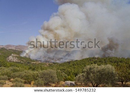 a forest fire on the island of Rhodes in Greece