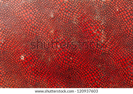 Grunge red and black  pattern on old paper surface texture background