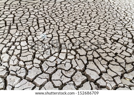 Seamless cracked dry ground texture background