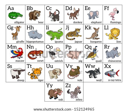 Cartoon Animal Alphabet Learning Chart With A Cartoon Animal Illustration For Each Letter And Upper And Lowercase Letters And Animal Names