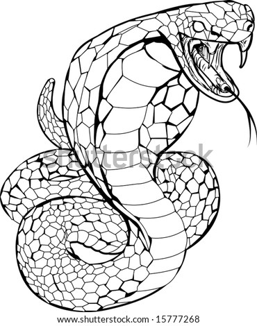 cobra snake tattoo. of a cobra snake preparing