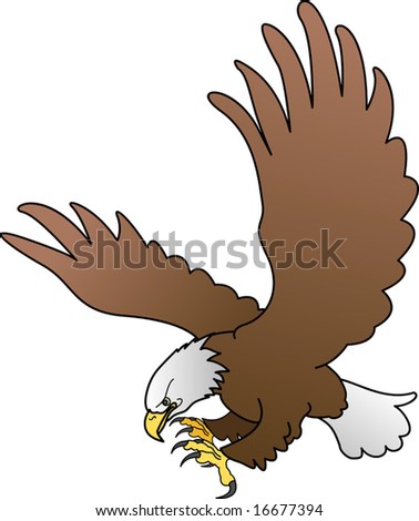 Cartoon Eagle Wings on Illustration Of Bald Eagle With Spread Wings   16677394   Shutterstock