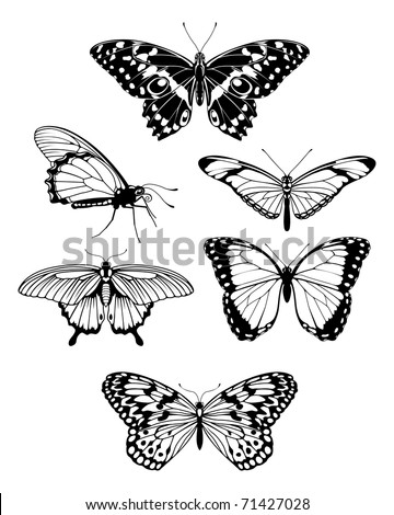 stylised butterfly outline