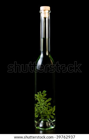 stock photo Bottle of croatia vodka rakija with flower inside on a black