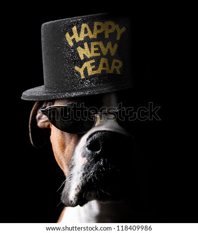 Happy New Year Boxer Dog wearing hat and sunglasses