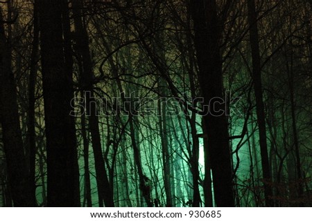 Trees In Night