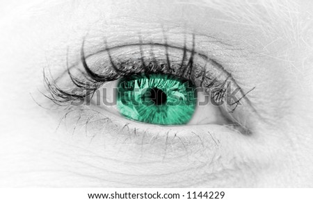 Green Eye woman with long eyelashes close-up