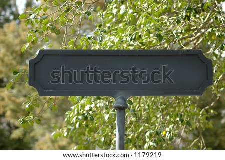 Blank Street Sign (put in your own street name)