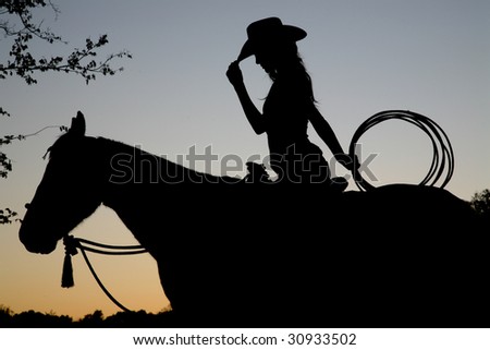rearing horse silhouette. stock photo : Silhouette of
