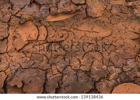 Parched Earth - the effect of Global Warming or climate change.