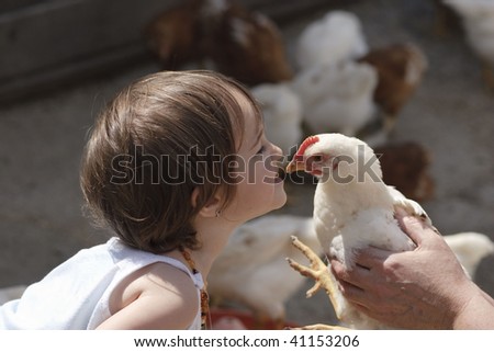 Kissing chicken
