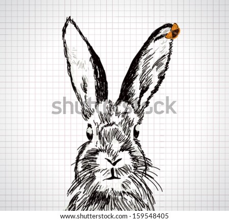 Adorable hand drawn rabbit with vector butterfly illustration Adorable hand drawn rabbit with vector butterfly illustration
