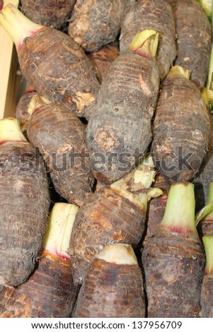 Pile of taro roots in local fruit market of Thailand