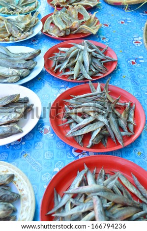 CHUMPON BURI, SURIN - DECEMBER 8 : Dried salted Spotfinned spinyeel fish in plates are on sell in freshwater fishes market on December 8, 2013 in Chumpon Buri, Surin, Thailand.