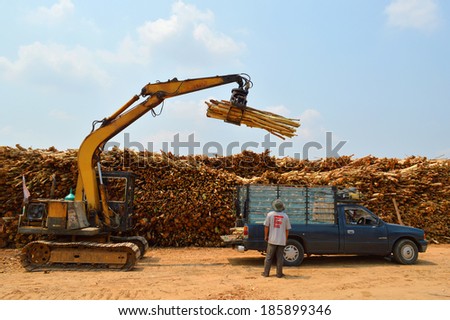 PAYAKKAPHUMPHISAI, MAHASARAKHAM - APRIL 7 : Eucalyptus trees are collected for paper industry on April 7, 2014 in Payakkaphumphisai, Mahasarakham, Thailand.