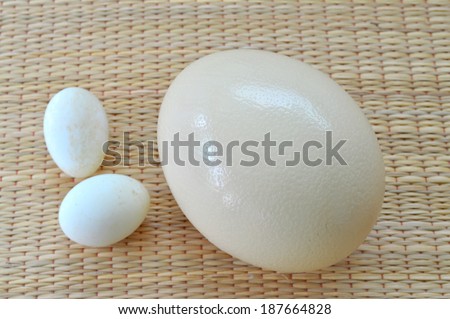 ostrich egg and duck egg to compare the size