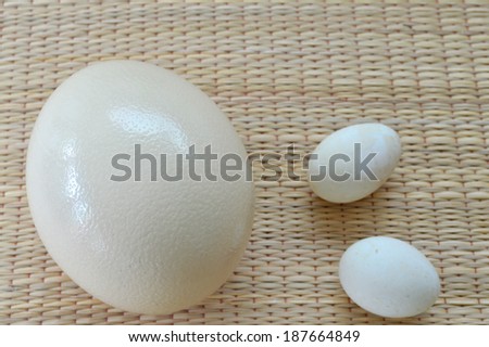 ostrich egg and duck egg to compare the size