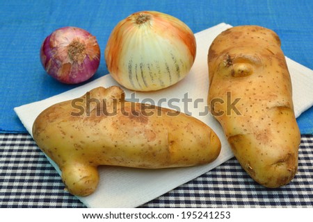organic potatoes and onions on cotton cloth in kitchen