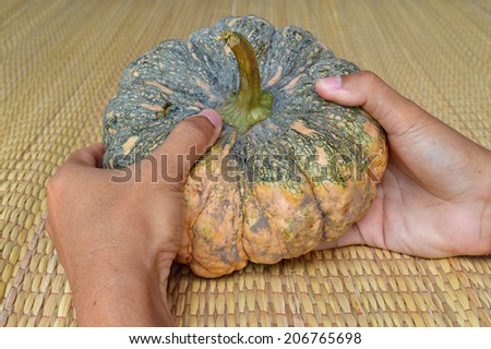 rough skin pumpkin in human hands