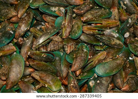sea mussel in sea food market