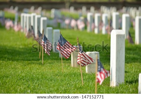veterans memorial cemetery flags American National