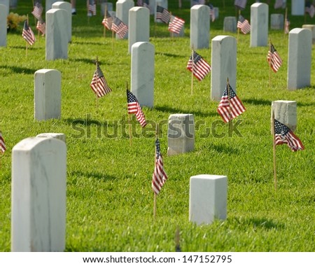 veterans memorial cemetery flags American National