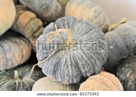 Beautiful pumpkin waitng for process food in the market with soft process.