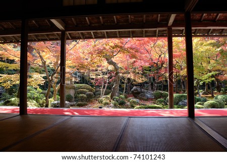 The view of autumn Japanese garden with maple from the tea ceremony room in Kyoto.