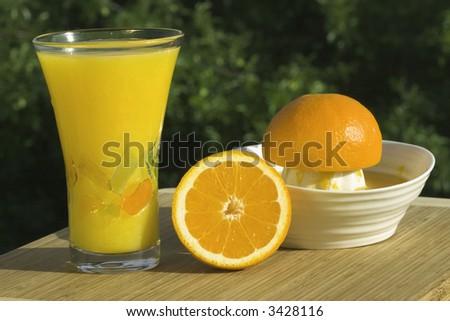 Glass Of Fresh Squeezed Organic Orange Juice - Juicer And Oranges With Natural Outdoor Background