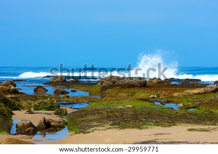 Natural Tide Pools Along Pacific Ocian Coastline ~ Image Made During Low Tide