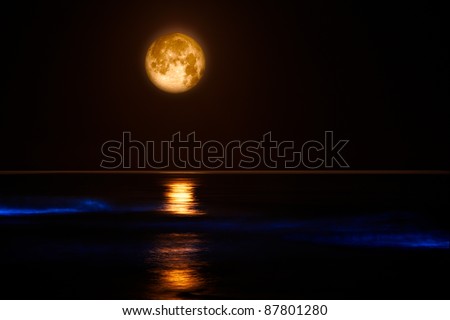 Pacific Coast Waves & Full Moon ~ Red Tide Lingulodinium Polyedrum The electric blue glow in these pacific coast waves is caused by a dinoflagellate bloom commonly referred to as a red tide.