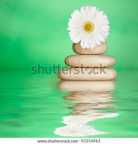 Tranquil Green Spa Water Background with Bamboo Wood Stones & White Daisy Flower