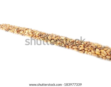 The horizontal  Line composed of wheat and hemp isolated on white background