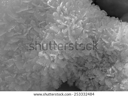 Patterns of ice crystals in monochrome
