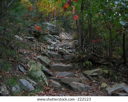 Rocky Path through the mountains