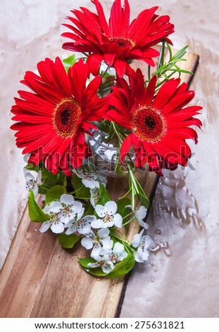 Red Gerbera Daisies with pear blossom